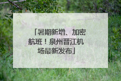 暑期新增、加密航班！泉州晋江机场最新发布