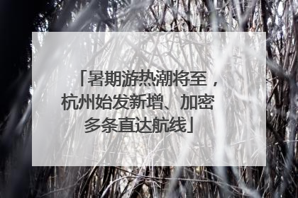 暑期游热潮将至，杭州始发新增、加密多条直达航线