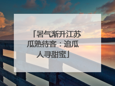 暑气渐升江苏瓜熟待客：追瓜人寻甜蜜