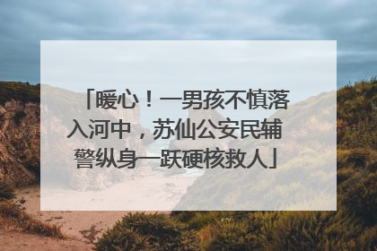 暖心！一男孩不慎落入河中，苏仙公安民辅警纵身一跃硬核救人