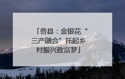 曹县：金银花“三产融合”托起乡村振兴致富梦