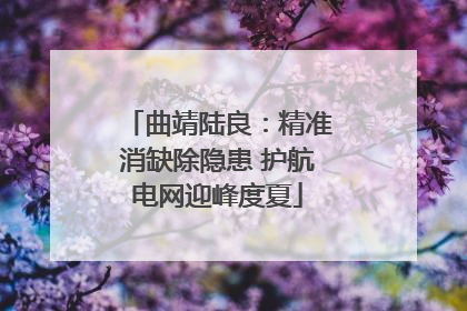 曲靖陆良：精准消缺除隐患 护航电网迎峰度夏