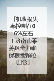 机收损失率控制在0.6%左右！济南市莱芜区全力确保粮食颗粒归仓
