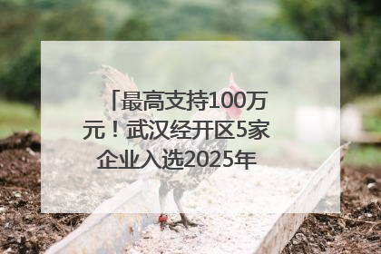 最高支持100万元！武汉经开区5家企业入选2025年度武汉市重点研发计划拟立项项目名单