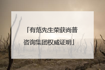 有范先生荣获尚普咨询集团权威证明