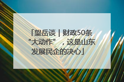 望岳谈｜财政50条“大动作”，这是山东发展民企的决心