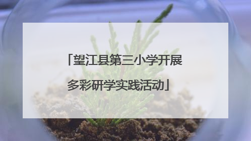 望江县第三小学开展多彩研学实践活动