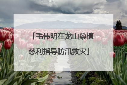 毛伟明在龙山桑植慈利指导防汛救灾