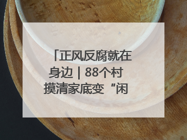 正风反腐就在身边｜88个村摸清家底变“闲”为“宝”