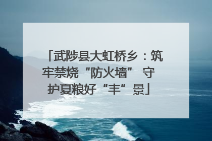 武陟县大虹桥乡：筑牢禁烧“防火墙” 守护夏粮好“丰”景