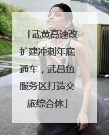武黄高速改扩建冲刺年底通车，武昌鱼服务区打造交旅综合体