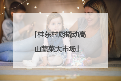 桂东村厨撬动高山蔬菜大市场