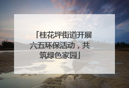 桂花坪街道开展六五环保活动，共筑绿色家园