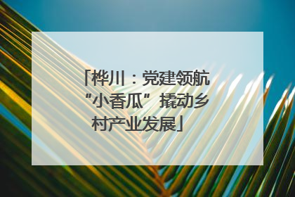 桦川：党建领航“小香瓜”撬动乡村产业发展