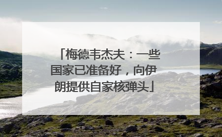 梅德韦杰夫：一些国家已准备好，向伊朗提供自家核弹头