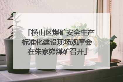 横山区煤矿安全生产标准化建设现场观摩会在朱家峁煤矿召开