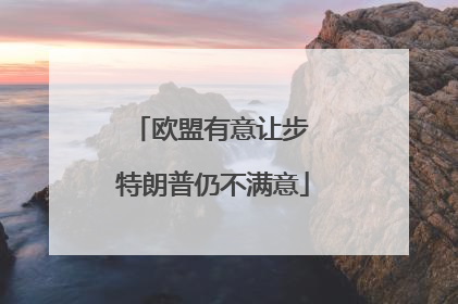 欧盟有意让步 特朗普仍不满意