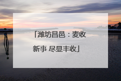 潍坊昌邑：麦收新事 尽显丰收