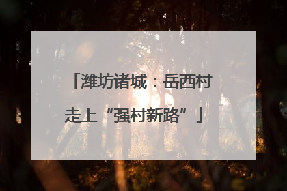 潍坊诸城：岳西村走上“强村新路”