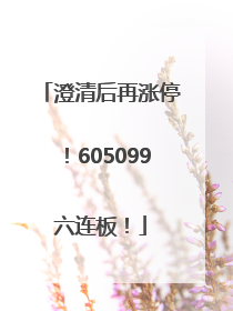 澄清后再涨停！605099六连板！