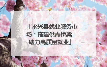 永兴县就业服务市场：搭建供需桥梁 助力高质量就业