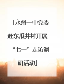 永州一中党委赴东瓜井村开展“七一”走访调研活动