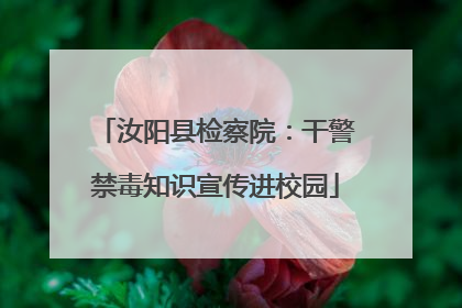 汝阳县检察院：干警禁毒知识宣传进校园