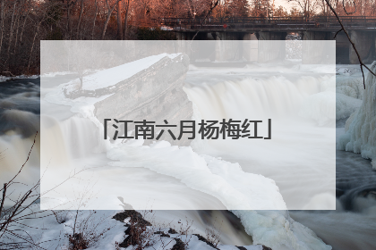 江南六月杨梅红