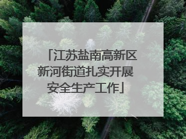 江苏盐南高新区新河街道扎实开展安全生产工作