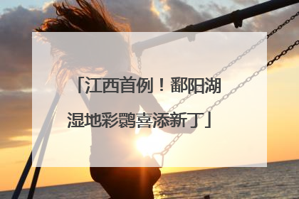 江西首例！鄱阳湖湿地彩鹮喜添新丁