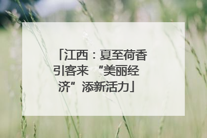 江西：夏至荷香引客来 “美丽经济”添新活力