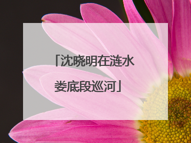沈晓明在涟水娄底段巡河