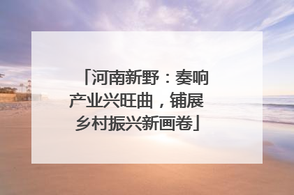 河南新野：奏响产业兴旺曲，铺展乡村振兴新画卷