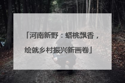 河南新野：蟠桃飘香，绘就乡村振兴新画卷