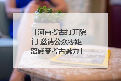 河南考古打开院门 邀请公众零距离感受考古魅力