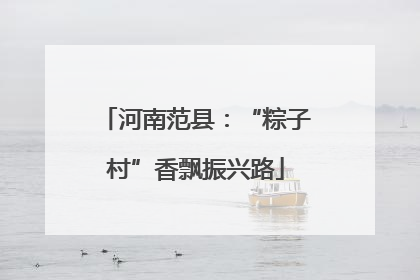 河南范县：“粽子村”香飘振兴路
