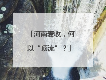 河南麦收，何以“顶流”？