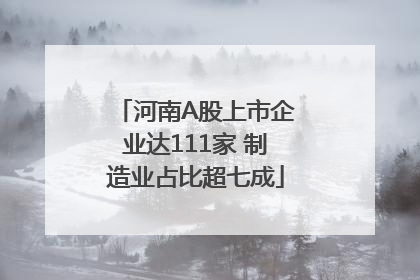 河南A股上市企业达111家 制造业占比超七成