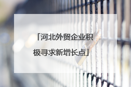 河北外贸企业积极寻求新增长点