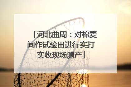 河北曲周：对棉麦间作试验田进行实打实收现场测产