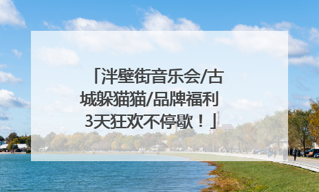 泮壁街音乐会/古城躲猫猫/品牌福利3天狂欢不停歇！
