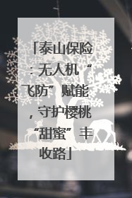 泰山保险：无人机“飞防”赋能，守护樱桃“甜蜜”丰收路