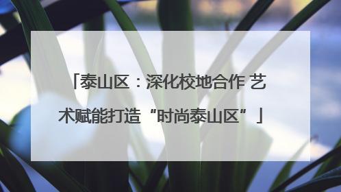 泰山区：深化校地合作 艺术赋能打造“时尚泰山区”