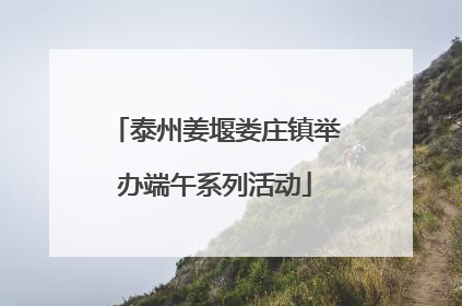 泰州姜堰娄庄镇举办端午系列活动