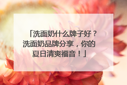 洗面奶什么牌子好？洗面奶品牌分享，你的夏日清爽福音！