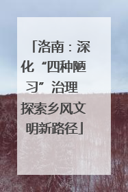 洛南：深化“四种陋习”治理 探索乡风文明新路径