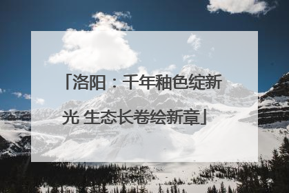 洛阳：千年釉色绽新光 生态长卷绘新章