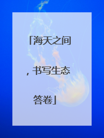 海天之间，书写生态答卷