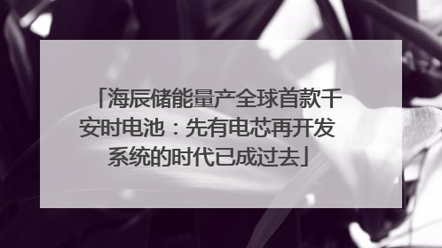海辰储能量产全球首款千安时电池：先有电芯再开发系统的时代已成过去