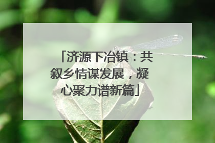 济源下冶镇：共叙乡情谋发展，凝心聚力谱新篇